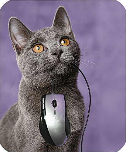 +++ KARTÄUSER Katze - Textil MOUSEPAD Mauspad Unterlage Mausmatte | 5 mm dick - CAT 01 von Nanyuk