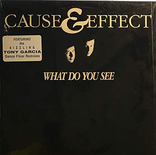 What Do You See [Vinyl LP] von Nas