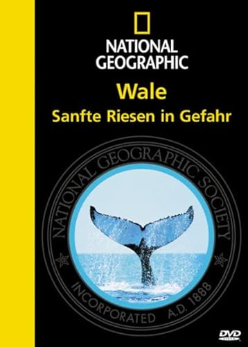Wale, Sanfte Riesen in Gefahr, 1 DVD von National Geographic Deutschland
