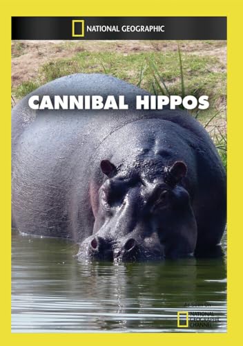 Cannibal Hippos / (Ntsc) [DVD] [Region 1] [NTSC] [US Import] von National Geographic
