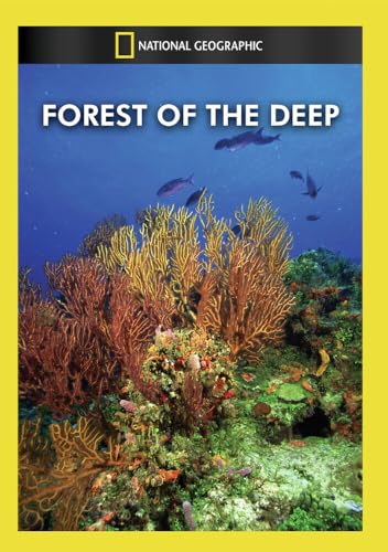Forest Of The Deep / (Ntsc) [DVD] [Region 1] [NTSC] [US Import] von National Geographic