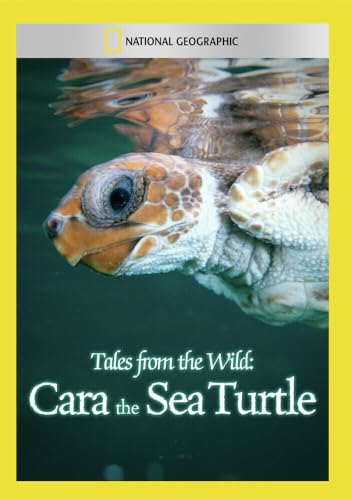 Tales From the Wild: Cara the Sea Turtle [DVD] [Import] von National Geographic