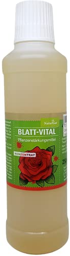 Blatt Vital Pflanzenschutzmittel Pflanzenschutz Pflanzenstärkungsmittel 250ml Blatt Vital Pflanzenschutzmittel Pflanzenschutz Pflanzenstärkungsmittel 250ml von NaturGut