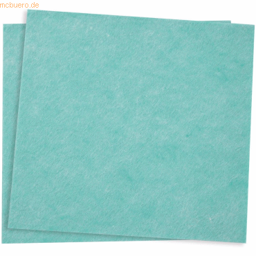 10 x NatureStar Mehrzwecktuch Tetra Bio 40x38cm VE=10 Stück grün 10 x NatureStar Mehrzwecktuch Tetra Bio 40x38cm VE=10 Stück grün von NatureStar