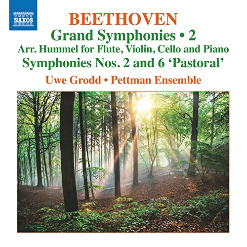 Grand Symphonies, Vol. 2 von Naxos (Naxos Deutschland Musik & Video Vertriebs-)