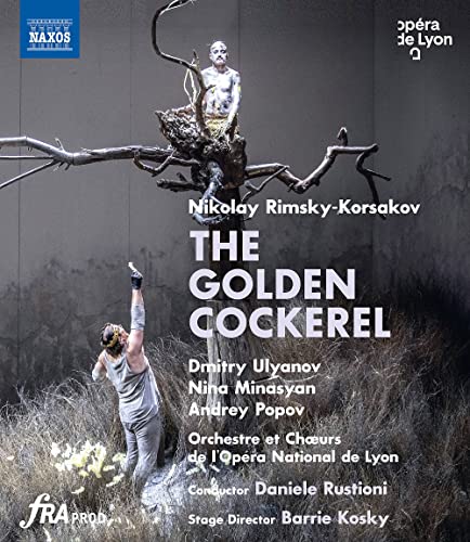 Korsakov: The Golden Cockerel [Various] [Naxos: NBD0150V] [Blu-ray] von Naxos