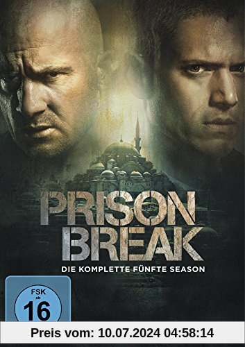 Prison Break - Die komplette Season 5 [3 DVDs] von Nelson McCormick