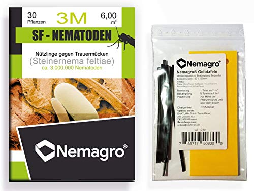 Nemagro® Kombipack - SF Nematoden 3M + Gelbtafeln (3mio 30 Pflanzen oder 6qm) - Ihre Erste Wahl gegen Trauermücken! von Nemagro