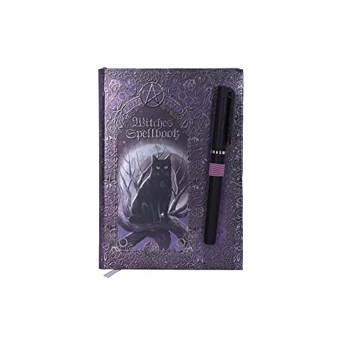 Nemesis Now Zauberbuch mit Stift-Tagebuch, Hexen, 18 cm, Violett von Nemesis Now