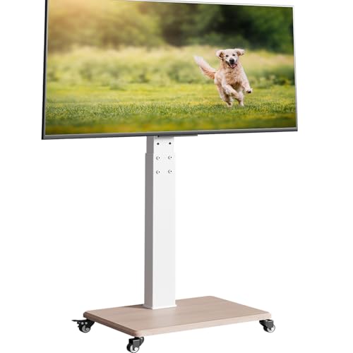 Neothm TV ständer Rollbar schwenkbar TV Standfuß bis zu 50kg Fernsehstand mit Rollen höhenverstellbar für 32 bis 65 75 Zoll Flachbildschirm 30° Drehung Max. VESA 600x400 Weiß Neothm TV ständer Rollbar schwenkbar TV Standfuß bis zu 50kg Fernsehstand mit Rollen höhenverstellbar für 32 bis 65 75 Zoll Flachbildschirm 30° Drehung Max. VESA 600x400 Weiß von Neothm