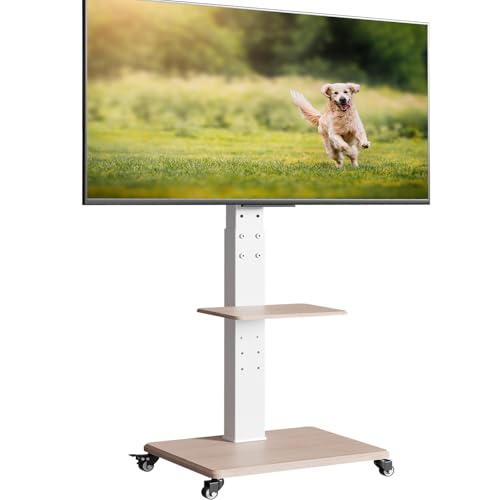 Neothm TV Bodenständer Rollbar mit Holzablage TV Standfuß schwenkbar TV Ständer Fernsehstand mit Rollen höhenverstellbar für 32 bis 65 75 Zoll Flachbildschirm bis zu 50kg 30° Drehung (weiß) von Neothm