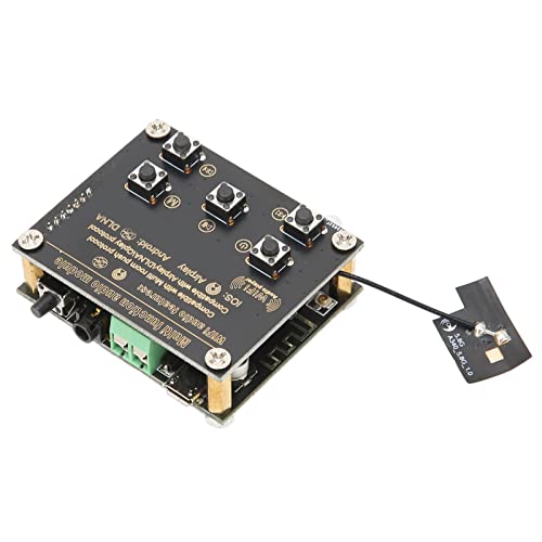 NestNiche Drahtlose 2-in-1-Smart-Audio-Empfängerplatine Für DIY-Lautsprecher, WLAN Und BT 5.0, NestNiche Drahtlose 2-in-1-Smart-Audio-Empfängerplatine Für DIY-Lautsprecher, WLAN Und BT 5.0, von NestNiche