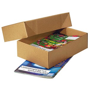 20 Nestler Kartons mit abnehmbarem Deckel 33,8 x 23,8 x 16,7 cm von Nestler