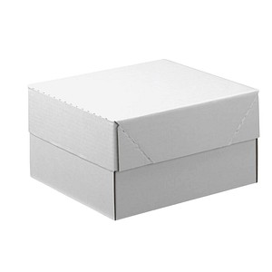 20 Nestler Kartons mit abnehmbarem Deckel 33,8 x 23,8 x 16,7 cm von Nestler
