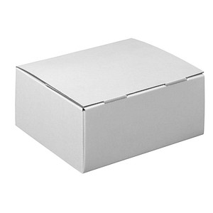 20 Nestler Versandkartons Pack-Set S 25,0 x 17,5 x 10,0 cm von Nestler