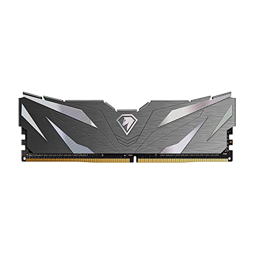 Netac DDR4 Ram 8GB 2666MHz CL19, PC Ram für Desktop Gaming (Standardfrequenz) von Netac