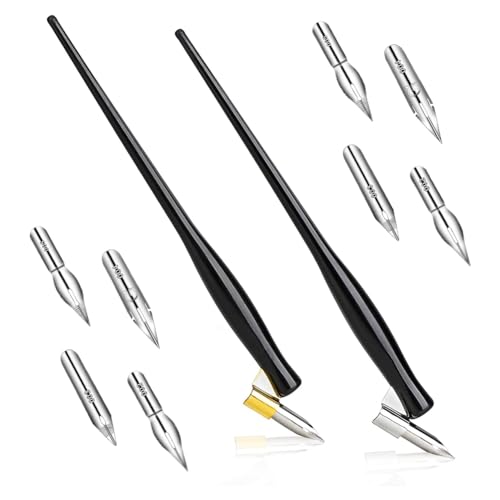 Nettoppo 10-Teiliges Dip-Pen-Set für Schrägkalligraphie, Comic-Stift, Federset, Flüssiger Schreibstift, 2-In-1-Zeichenstifthalter mit 8 Spitzen von Nettoppo
