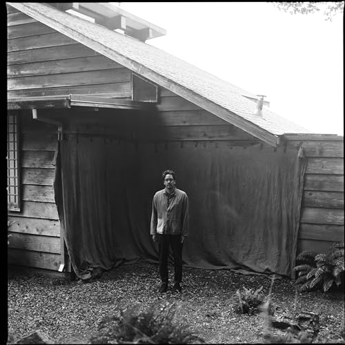 Dressing Like a Stranger [Vinyl LP] von Nettwerk Records