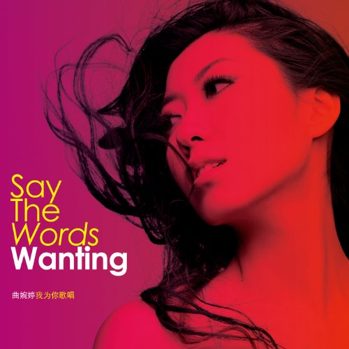 Say the Words [Vinyl LP] von Nettwerk Records