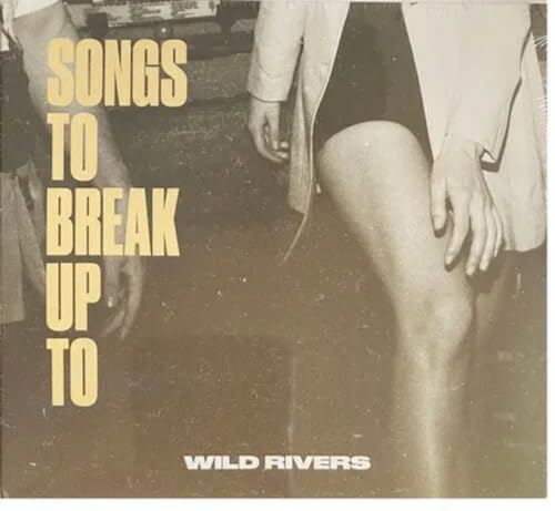 Songs to Break Up to [Vinyl LP] von Nettwerk Records
