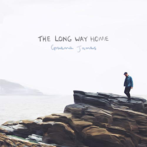 The Long Way Home [Vinyl LP] von Nettwerk Records