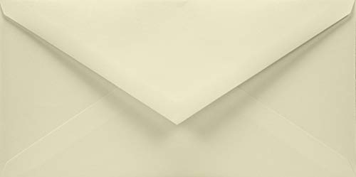 100 Elfenbein DIN lang Umschläge ohne Fenster Spitzklappe nassklebend 110x220 mm 120g Aster Smooth Ivory Briefhüllen DL mit Dreieckslasche für Einladungen Grußkarten von Netuno