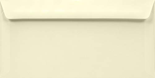 500 Elfenbein DIN lang Briefhüllen ohne Fenster gerade Klappe haftklebend 110x220 mm 100g Aster Smooth Ivory Briefkuverts Creme DL für Einladungen Grußkarten Geschäftsbriefe von Netuno