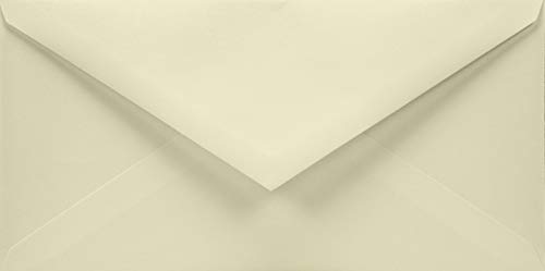 Netuno 500 Briefumschläge Elfenbein DIN lang 110 x 220 mm 120g Aster Smooth Ivory lange Umschläge ohne Fenster für Gruß-Karten Hochzeits-Karten Geburtstag Taufe Einladungs-Umschläge von Netuno