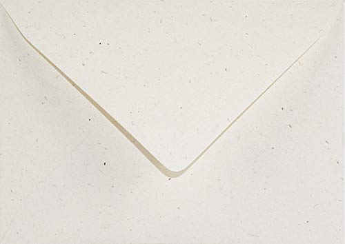 Netuno 500 Briefumschläge Creme DIN B6 12,5 x 17,5 cm 130g Flora Giglio Briefkuvert hochwertige ökologische Briefhülle aus Recycling-Papier Briefumschlag Öko für Hochzeit Geburtstag Weihnachten Taufe Netuno 500 Briefumschläge Creme DIN B6 12,5 x 17,5 cm 130g Flora Giglio Briefkuvert hochwertige ökologische Briefhülle aus Recycling-Papier Briefumschlag Öko für Hochzeit Geburtstag Weihnachten Taufe von Netuno