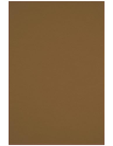Netuno 10 Blatt Bastelkarton Braun DIN A4 21 x 29,7 cm 250g Crush Hazelnut Naturkarton farbig bedruckbar für Geburtstagskarten Grußkarten Einladungs-Karten Visitenkarten Etiketten Öko Papier von Netuno
