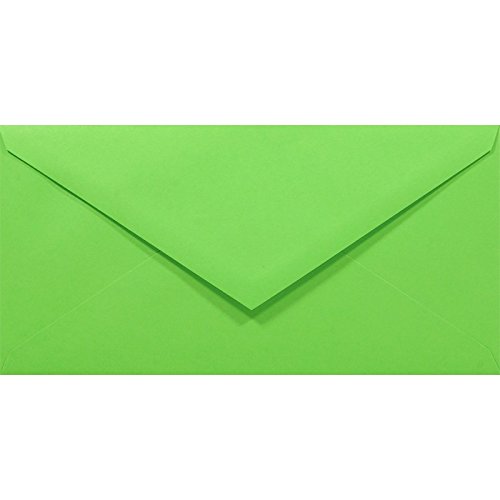 Netuno 100 Brief-Umschläge Grün DIN lang 110x220 mm 80g Rainbow Briefkuverts farbig lang Spitzklappe ohne Fenster grüne Briefumschläge Hochzeit Geburtstag Taufe Weihnachten Umschläge DL Briefhüllen von Netuno