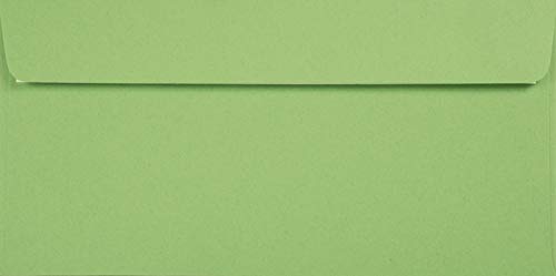 Netuno 100 Briefumschläge Grün DIN Lang 110 x 220 mm 120g Kreative Apple lange Umschläge Recycling Briefkuverts farbig hochwertig grüne Briefumschläge DL Ökopapier elegante Einladungsumschläge von Netuno