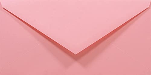 Netuno 100 Briefumschläge Pink DIN lang 110x220 mm 80g Rainbow lange Briefumschläge DL Spitzklappe Umschläge Rosa ohne Fenster Papierumschläge farbig für Einladungen Hochzeit Geburtstag Weihnachten von Netuno