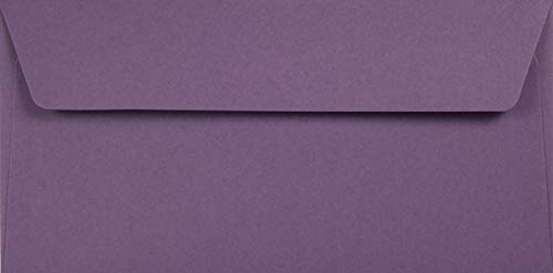 Netuno 100 Briefumschläge Violett DIN Lang 110 x 220 mm 120g Kreative Lavender schöne Umschläge DL Recycling Einladungsumschläge lang elegant für Hochzeitskarten Geburtstagskarten bunte Briefkuverts von Netuno
