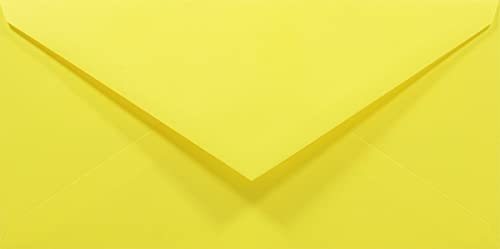 Netuno 100 Umschläge Gelb DIN lang 110x220 mm 80g Rainbow gelbe Briefumschläge farbig lang Briefhüllen Einladungsumschläge Hochzeit lange Papier- Briefumschläge Spitzklappe nassklebend ohne Fenster von Netuno