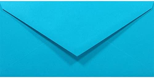 Netuno 1000 Briefumschläge Blau DIN lang 110x220 mm 80g Rainbow bunte Umschläge lang ohne Fenster für Hochzeit Geburtstag Taufe Weihnachten Einladungskarten Einladungsumschläge Blau Briefhüllen Papier von Netuno