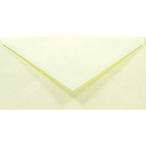 Netuno 1000 Briefumschläge Creme DIN lang 110x220 mm 80g Rainbow lange Briefumschläge DL Spitzklappe Umschläge Ecru ohne Fenster Papierumschläge farbig für Einladungen Hochzeit Geburtstag Weihnachten von Netuno