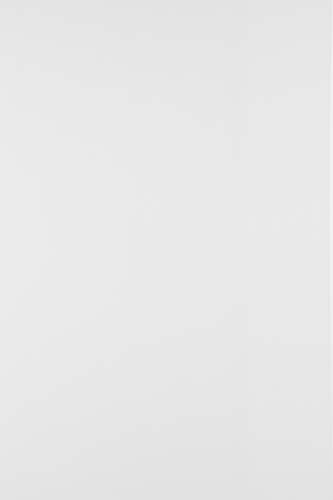 Netuno 100x Bastelkarton Weiß DIN A4 210x 297 mm 230g Splendorgel Extra White weißer Naturkarton Feinkarton bedruckbar zum Basteln Kartenkartons weiß für Einladungen Visitenkarten white card stock von Netuno