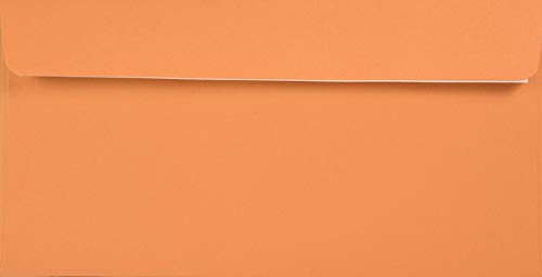 Netuno 100x Briefumschlag Orange DIN Lang 110 x 220 mm 120g Kreative Mandarin langer Umschlag DL Öko-Papier Briefkuvert farbig Recyclingpapier Briefhülle elegant für Einladungen Hochzeit Geburtstag von Netuno