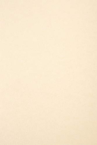 Netuno 20x Marmorkarton Ecru DIN A4 297 x 210 mm 180g Aster Laguna Natural hochwertiger Karton marmoriert Effektpapier Designpapier Vintage Retro Marmorpapier für Zertifikate Urkunden Menükarten von Netuno