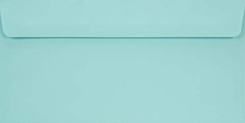 Netuno 25 Briefumschläge Hellblau DIN Lang 110x 220 mm 90g Burano Azzurro gerade Klappe ohne Fenster bunte Umschläge DL elegant Briefumschläge lang farbig Briefhüllen schön hochwertig envelopes blu von Netuno