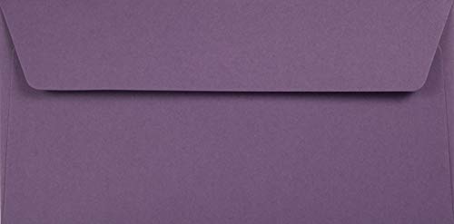 Netuno 25 Briefumschläge Violett DIN Lang 110 x 220 mm 120g Kreative Lavender schöne Umschläge DL Recycling Einladungsumschläge lang elegant für Hochzeitskarten Geburtstagskarten bunte Briefkuverts von Netuno