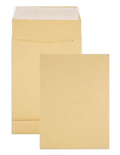 Netuno 250 x braune Faltentaschen DIN B5 176× 250 mm 120g Kapazität-Versandtaschen haftklebend ohne Fenster Falten-Umschläge Briefumschläge B5 mit Bodenfalte Brief-Kuverts mit Falten Umschlagtaschen von Netuno