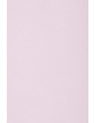 Netuno 50 Blatt Bastelpapier Lila DIN A4 210x 297 mm 80g Circolor Peony Farbpapier a4 Lila Tonpapier Zeichenpapier zum Basteln Druckerpapier Recycling Kopierpapier Malpapier Schreibpapier a4 von Netuno
