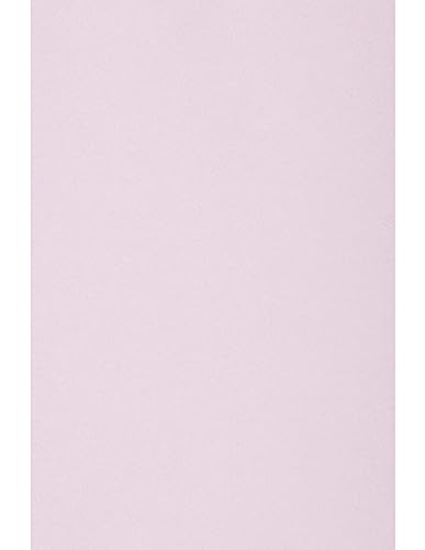 Netuno 50 Blatt Bastelpapier Lila DIN A4 210x 297 mm 80g Circolor Peony Farbpapier a4 Lila Tonpapier Zeichenpapier zum Basteln Druckerpapier Recycling Kopierpapier Malpapier Schreibpapier a4 von Netuno