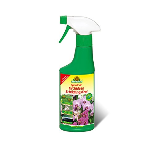 NEUDORFF Spruzit AF OrchideenSchädlingsFrei 250 ml von Neudorff