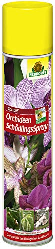 NEUDORFF Spruzit Orchideen SchädlingsSpray 300 ml von Neudorff