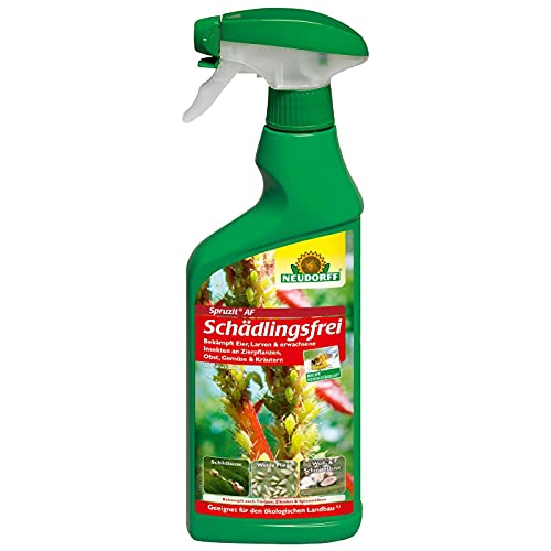 Schädlingsfrei „Spruzit® AF“ 457 NEUDORFF SPRUZIT AF 500ML 457-587914 von Neudorff