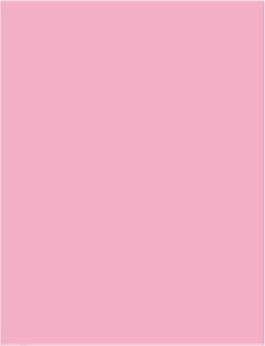 Kopierpapier 80g A6 farbig, Pastellfarben 2000 Blatt, Farbe:flamingo von Neusiedler Mondi