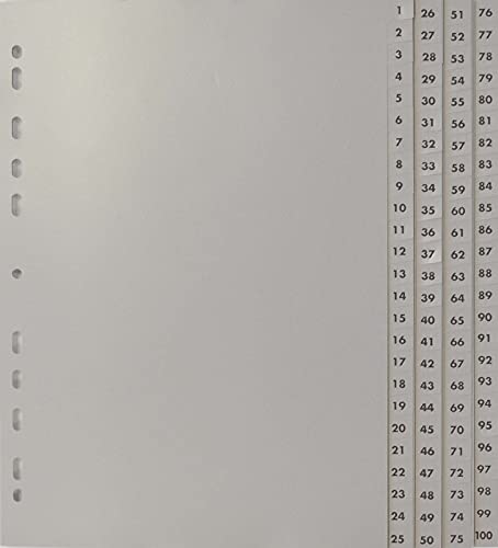 NEUTRAL 24740 Ordnerregister A4 1-100 grau von Neutral